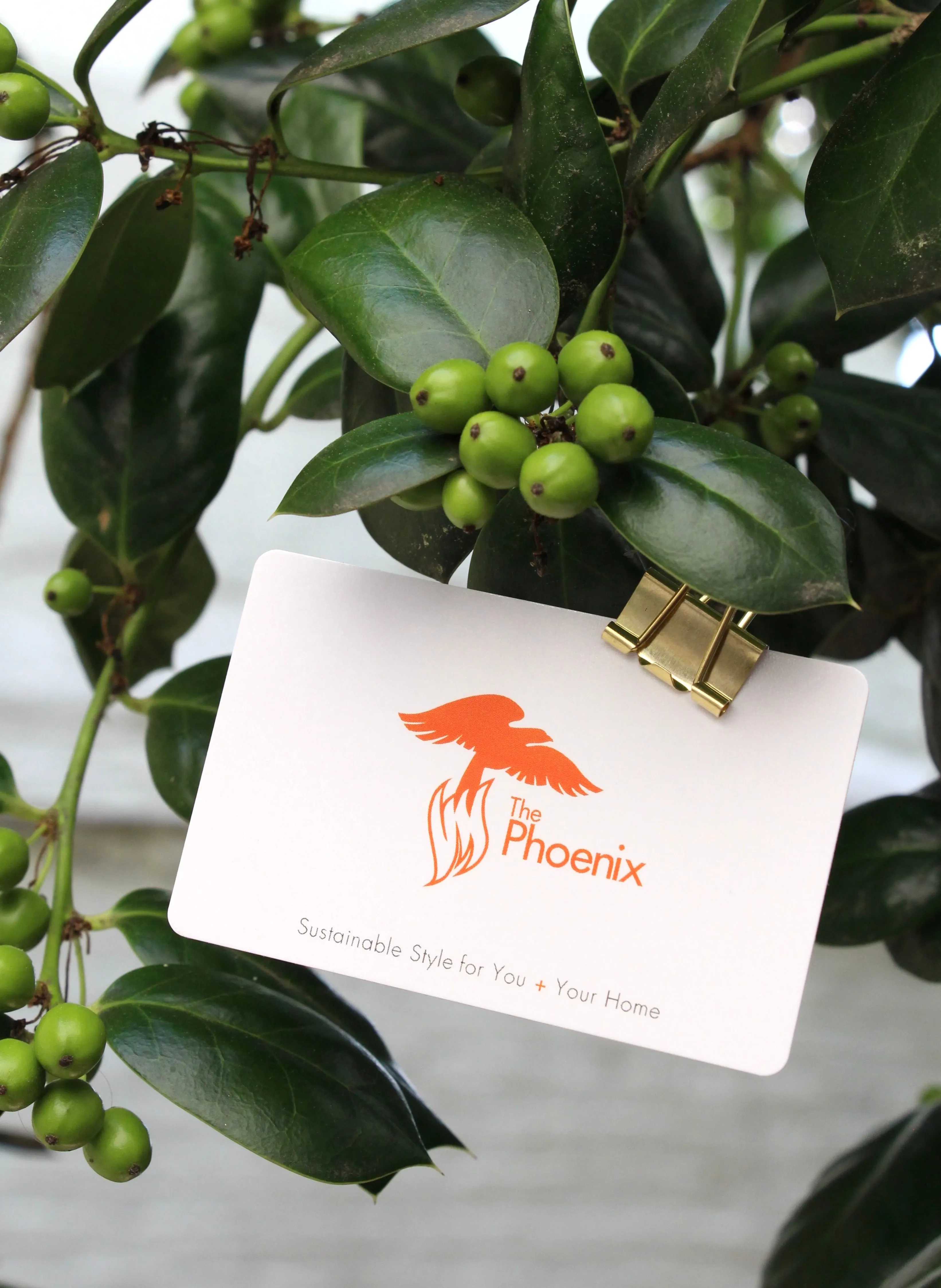 $25 Online Gift Card